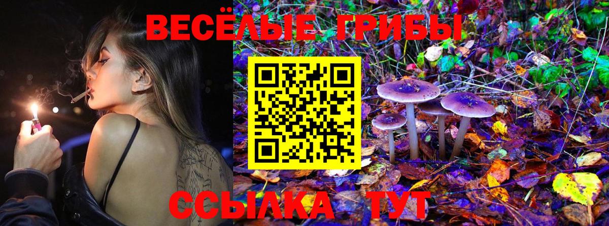 Саранск  Псилоцибиновые грибы Magic Shrooms  Вход с VPN 